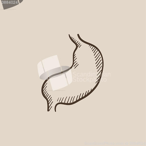 Image of Stomach sketch icon.