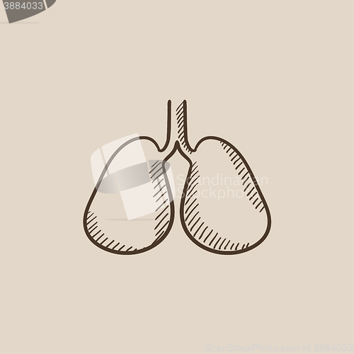 Image of Lungs sketch icon.