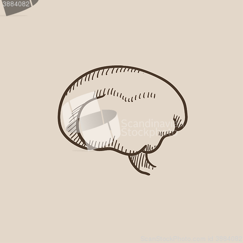 Image of Brain sketch icon.