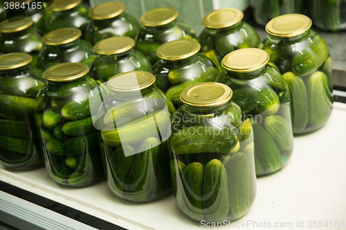 Image of gurtsov conservation. Fresh cucumbers in jars