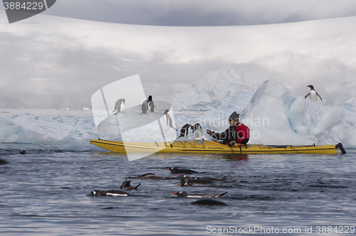 Image of Icebergs in Antarctica