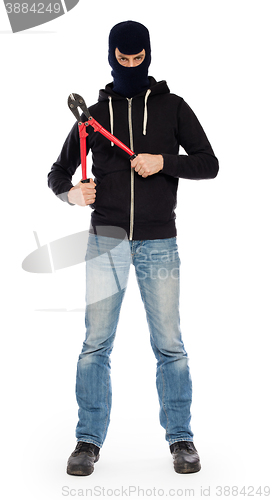 Image of Robber with red bolt cutters