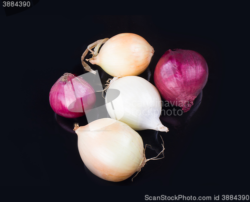 Image of some onions on a black background