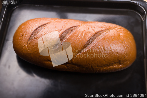 Image of baking fresh bread in the bakehouse