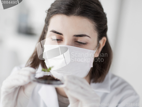 Image of close up of scientist with plant and soil in lab