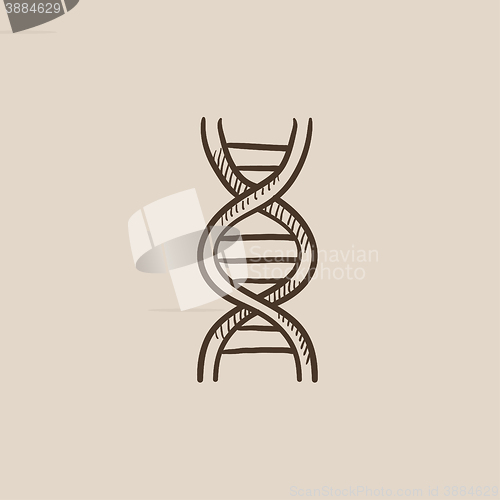 Image of DNA sketch icon.