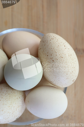 Image of Raw eggs in different colors and sizes