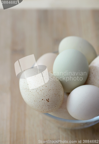 Image of Raw eggs in different colors and sizes