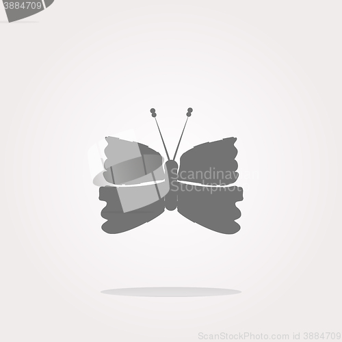 Image of vector Butterfly Icon on Internet Button isolated on white. Web Icon Art. Graphic Icon Drawing