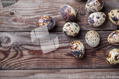 Image of Group of quail eggs on thewooden background