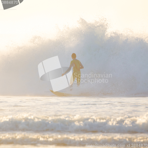 Image of Surfer riding a big wave.