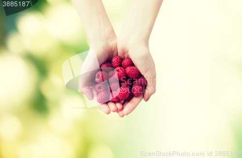 Image of close up of woman hands holding raspberries