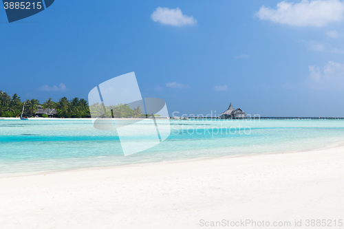 Image of maldives island beach with palm tree and villa