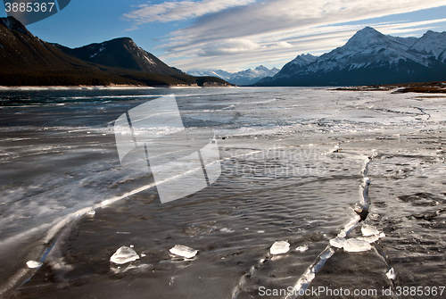 Image of Abraham Lake Winter