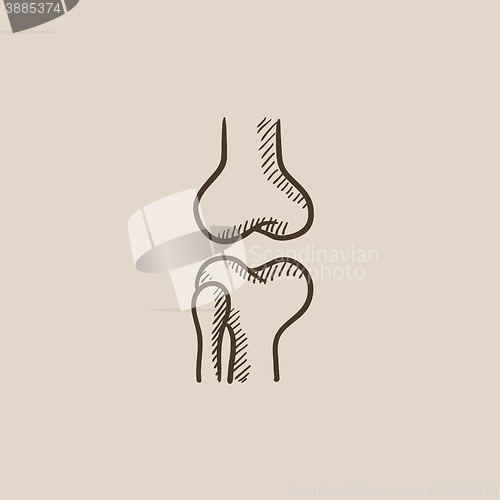 Image of Knee joint sketch icon.