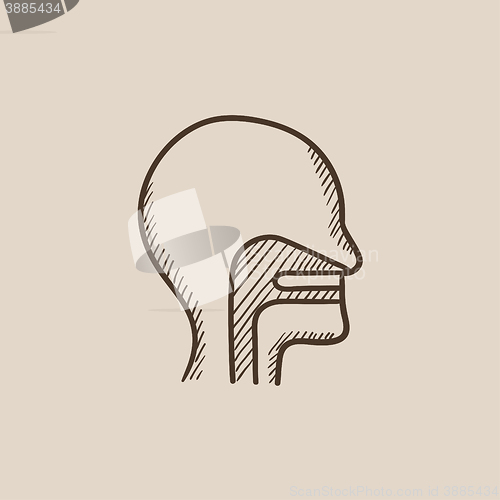 Image of Human head with ear, nose, throat system sketch icon.