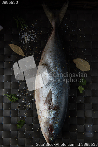 Image of raw tuna fish