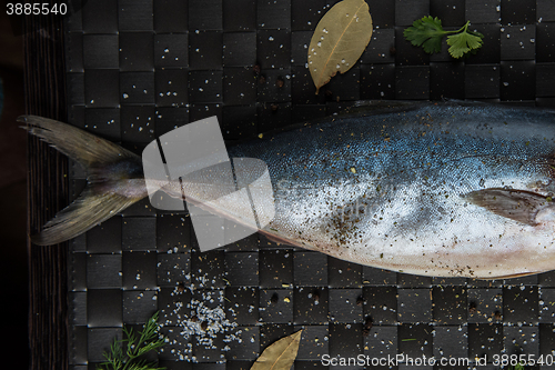 Image of raw tuna fish