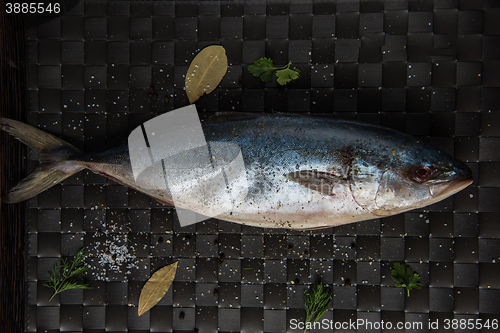 Image of raw tuna fish