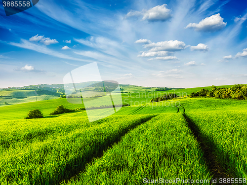 Image of Green fields of Moravia