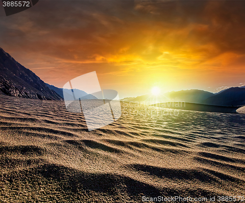 Image of Sand dunes. Nubra valley, Ladakh, India