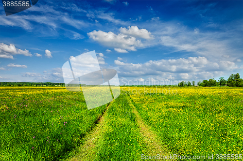 Image of Spring summer - rural road in green field scenery lanscape