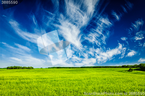 Image of Spring summer green field scenery lanscape 