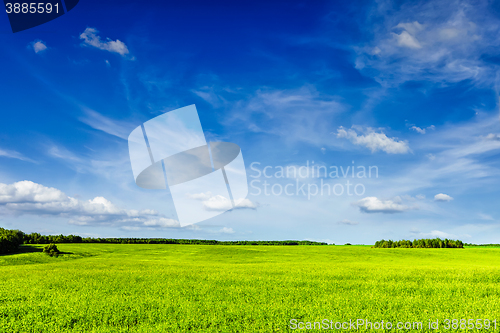 Image of Spring summer green field scenery lanscape 