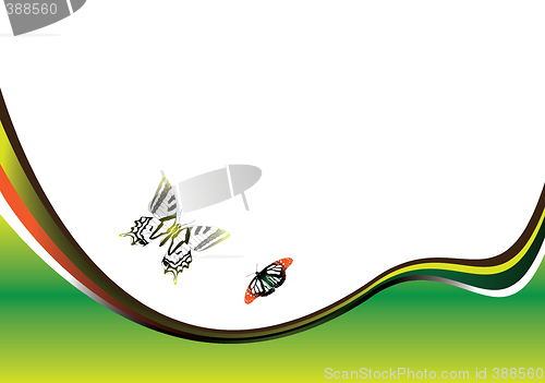 Image of butterfly field