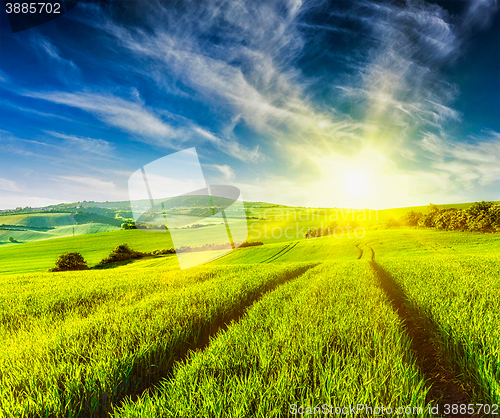 Image of Rolling summer landscape