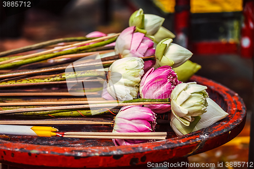 Image of Lotus flowers used as offering in Buddhist temple