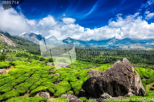 Image of Tea plantations. Munnar, Kerala
