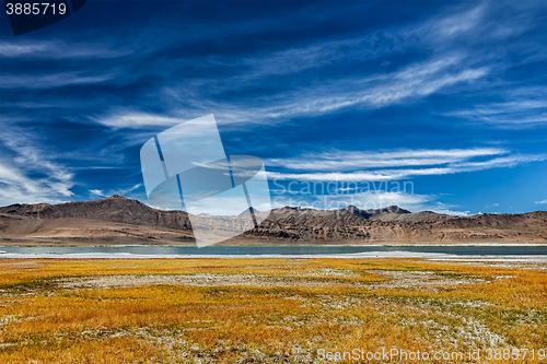 Image of Mountain lake Tso Kar in Himalayas