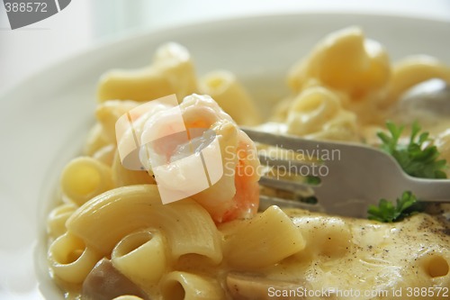 Image of Macaroni and cheese