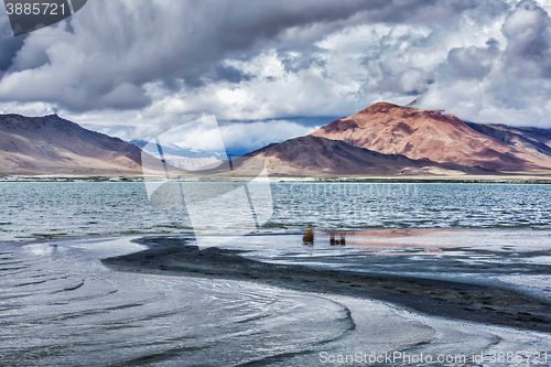 Image of Mountain lake Tso Kar in Himalayas