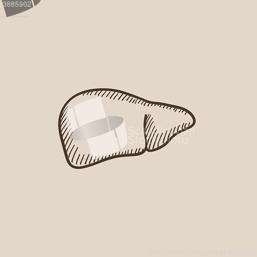 Image of Liver sketch icon.