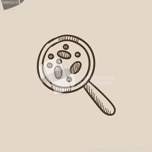 Image of Microorganisms under magnifier sketch icon.