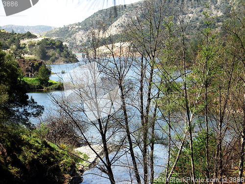 Image of Lake behind the trees.