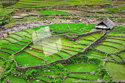 Image of Rice field terraces