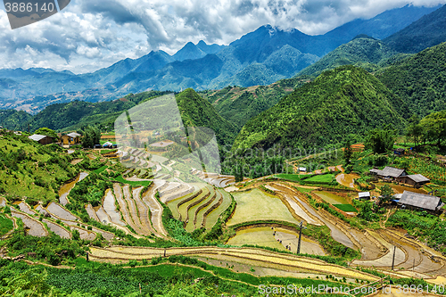 Image of Rice field terraces. Near Sapa, Mui Ne