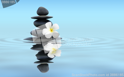 Image of Zen stones with frangipani 