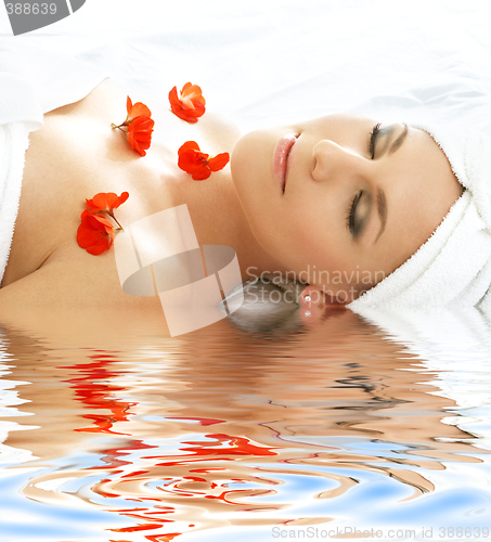 Image of red petals spa with water #3
