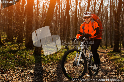 Image of Cyclist Riding the Bike