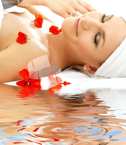 Image of red petals spa with water #4