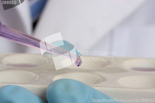 Image of Scientist, chemist  with pipet and spotting plate
