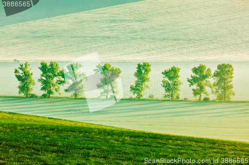 Image of Moravian rolling landscape in early morning