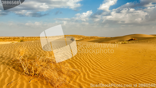 Image of Dunes of Thar Desert, Rajasthan, India