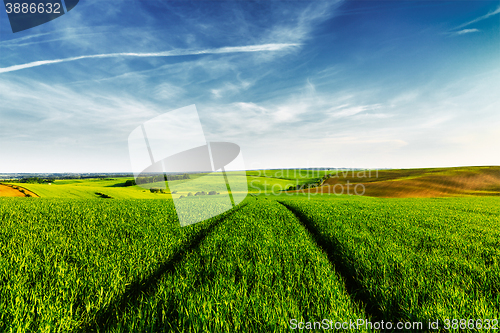 Image of Green fields of Moravia