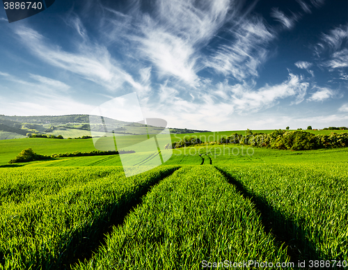 Image of Green fields of Moravia