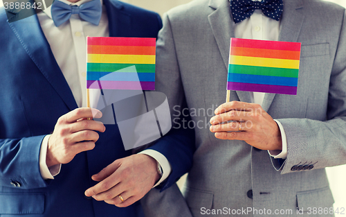 Image of close up of male gay couple holding rainbow flags